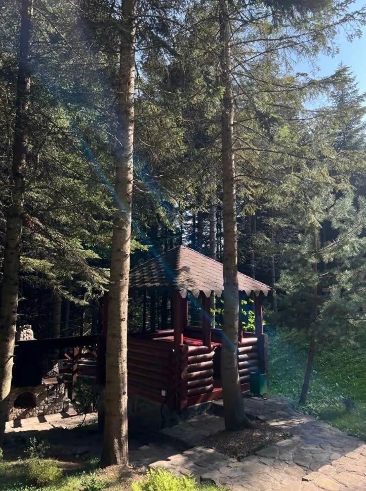 Holiday home ялинка *