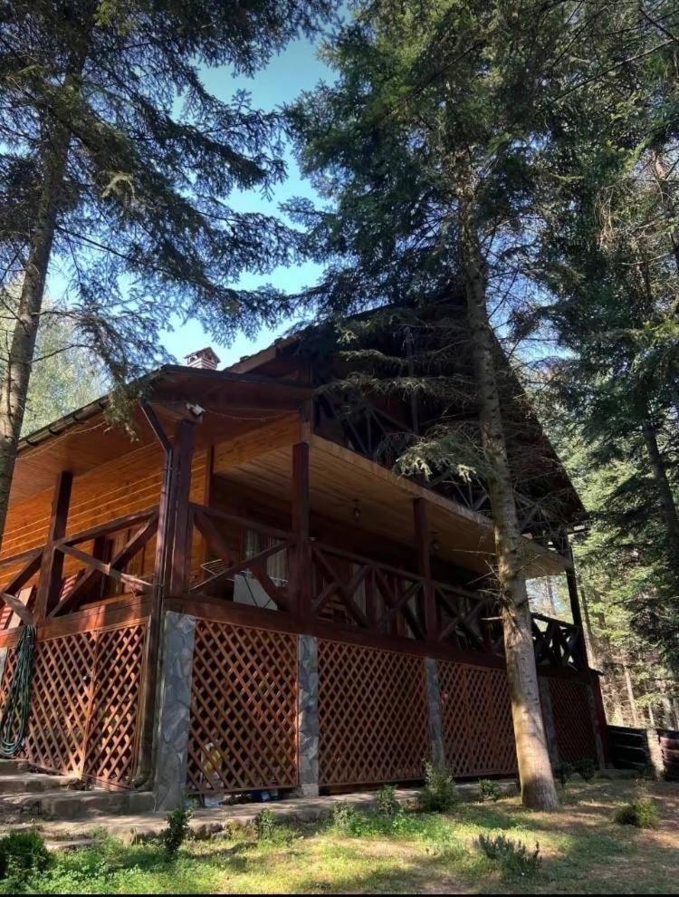 ялинка Holiday home