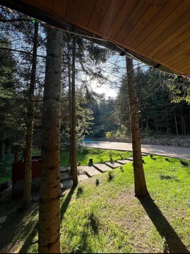 ялинка Holiday home *