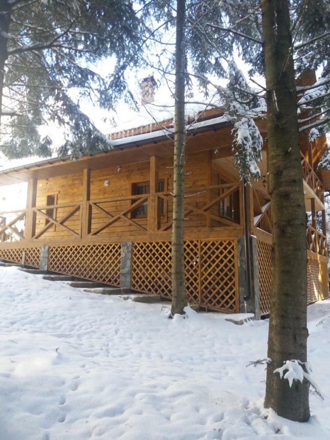 ялинка Holiday home Migovo