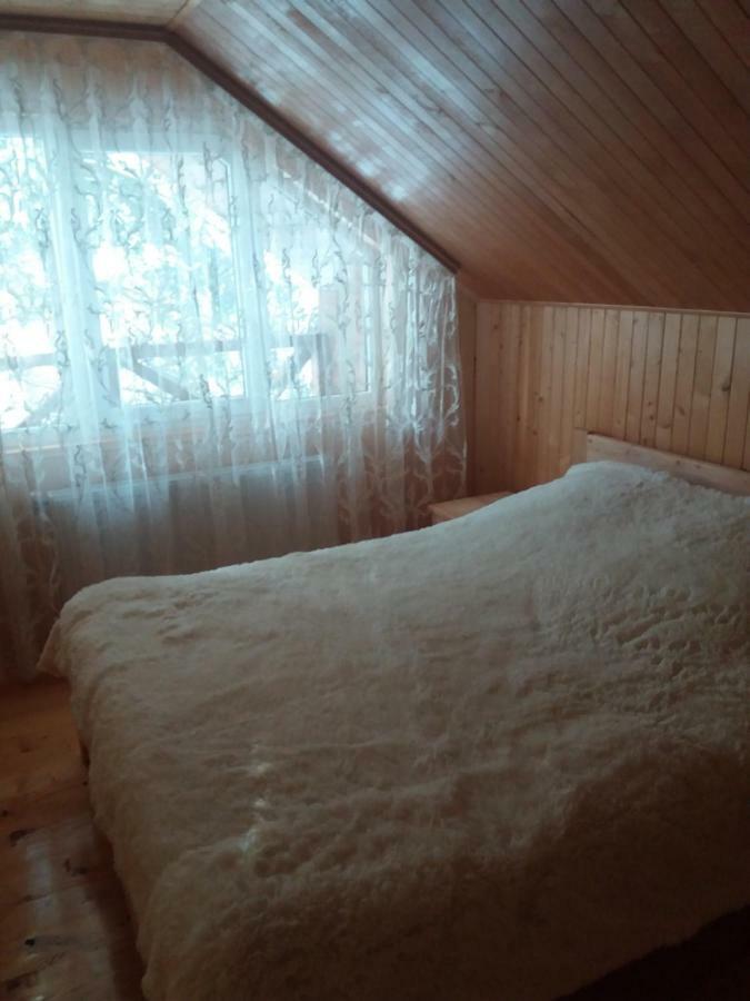ялинка