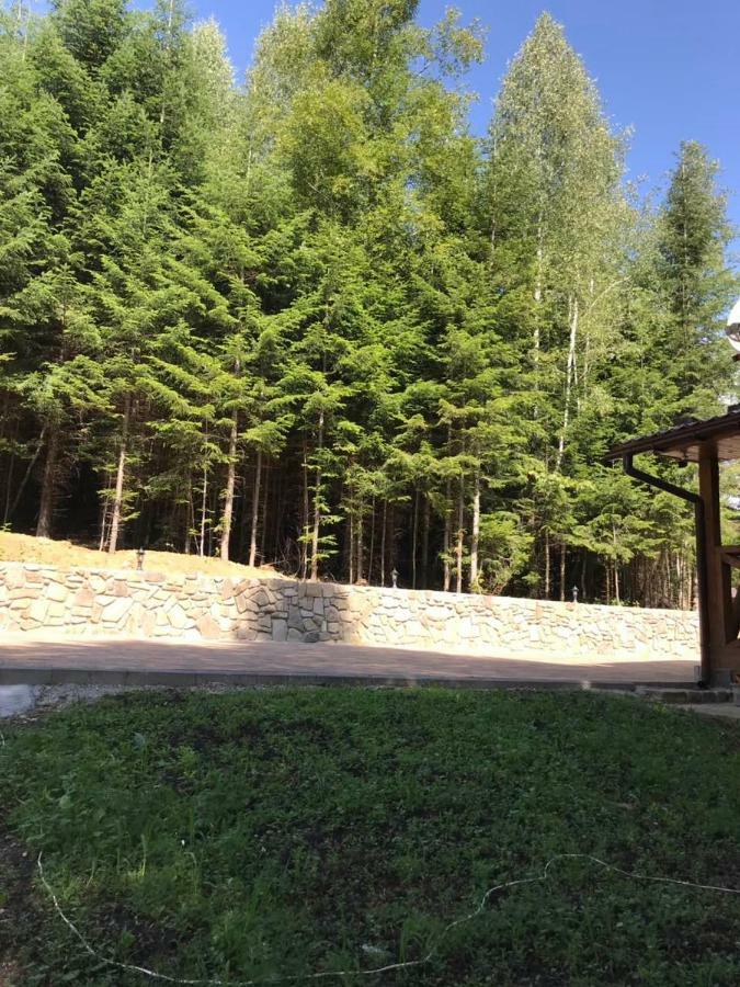 Holiday home ялинка Migovo